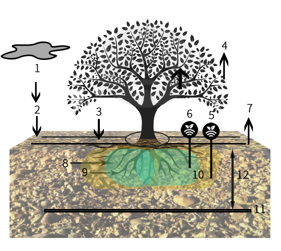Esquema de riego por goteo