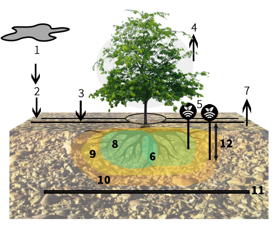 Riego controlado con sensores de humedad en almendro