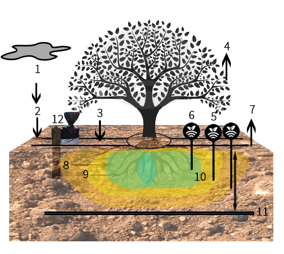 Esquema de riego con sondas y pluviómetro