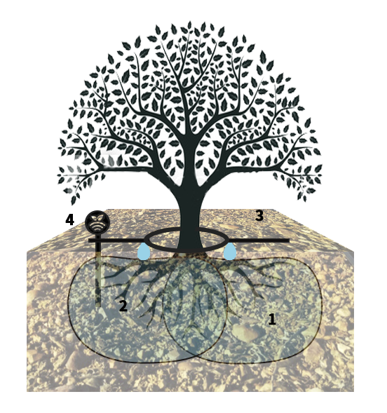 Goteo superficial con dos goteros