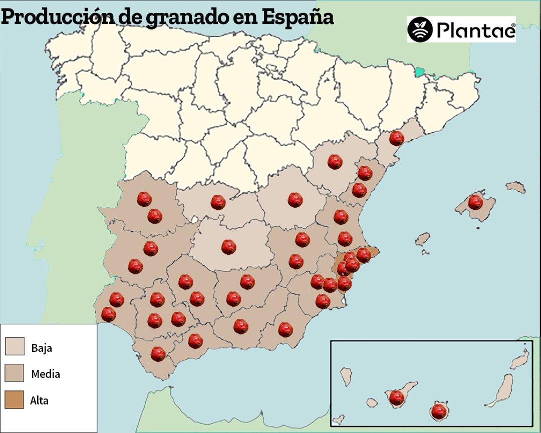 El granado en España