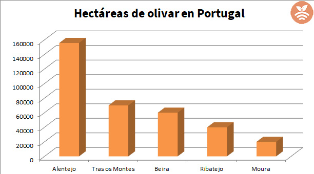 Hectáreas e olivos en Portugal