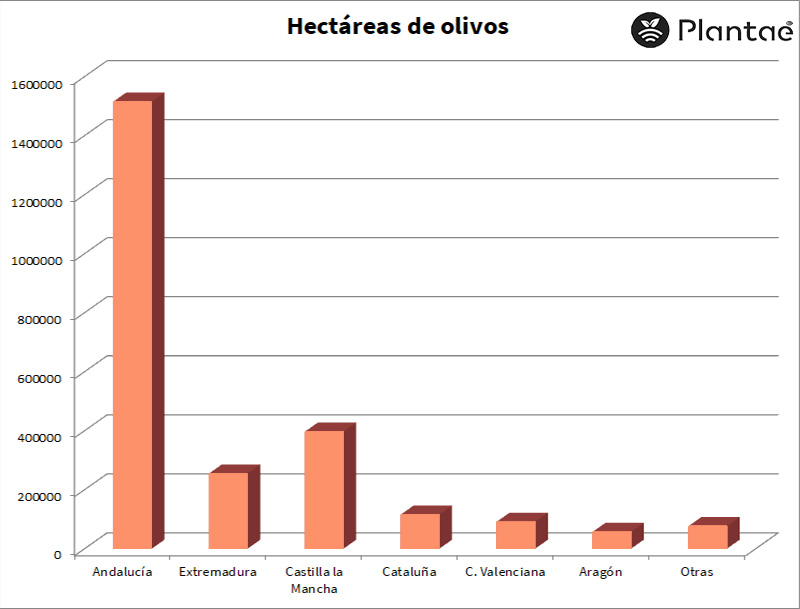 Hectáreas de olivos en España