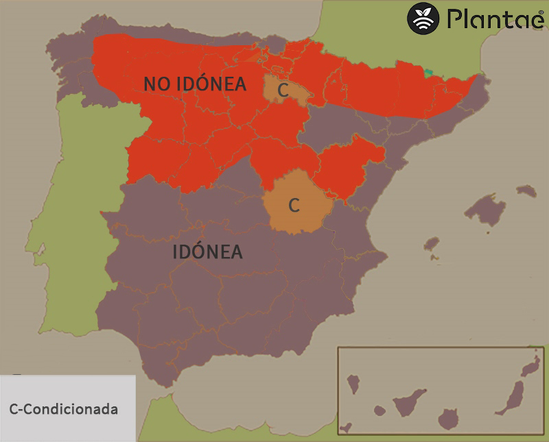 Mapa de pistacho en España según heladas tardías