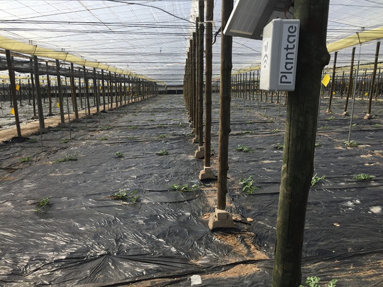 Hub/receptor para sensores/sondas-Feria de Nijar