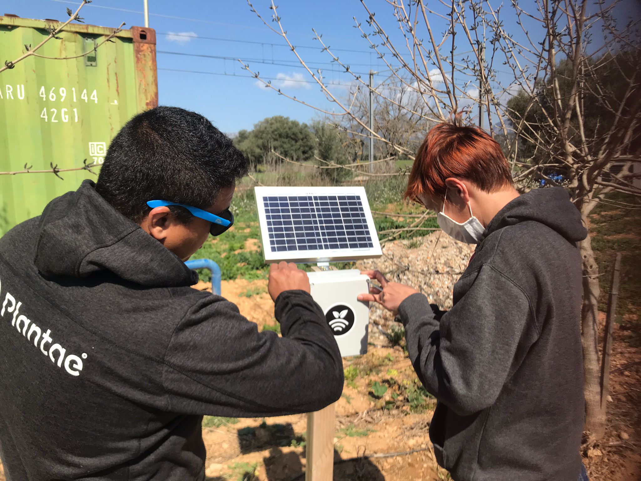 Hub en plantación de almendros