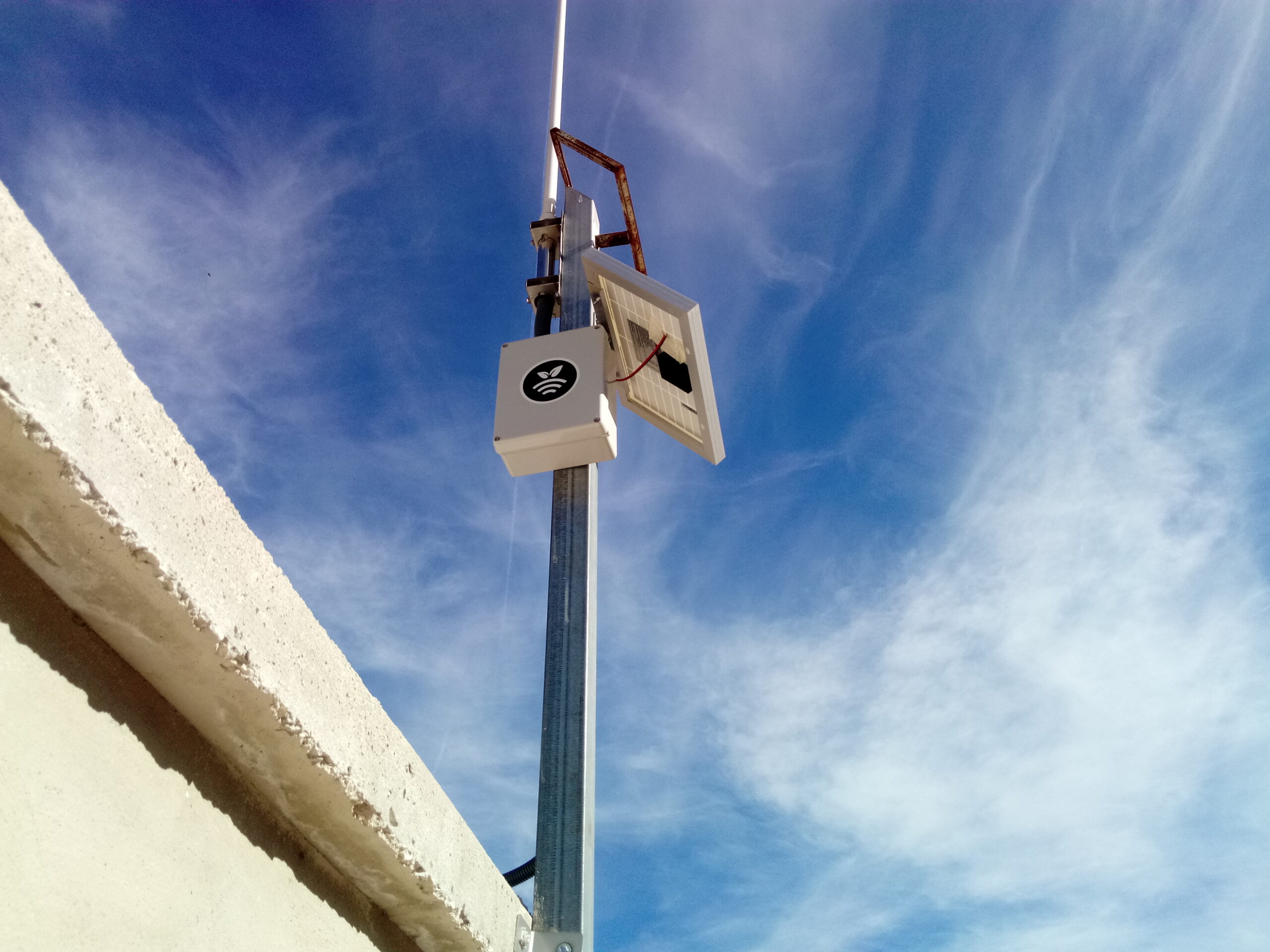 Hub en fruta de hueso