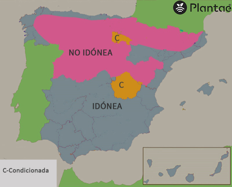 mapa de pistacho en España según la humedad relativa