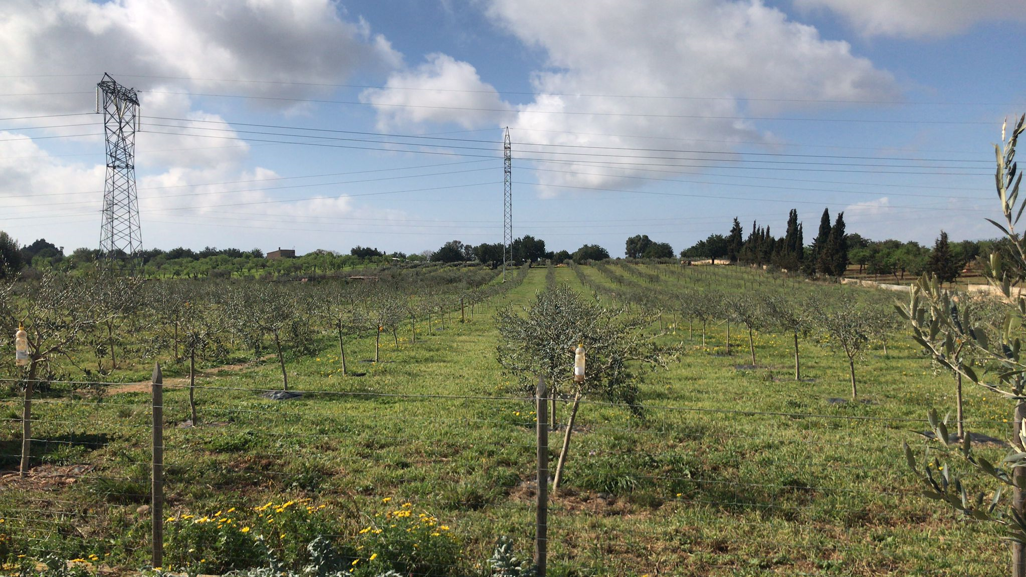 Agricultura de conservación-Sin labranza, con rotación y SONDAS