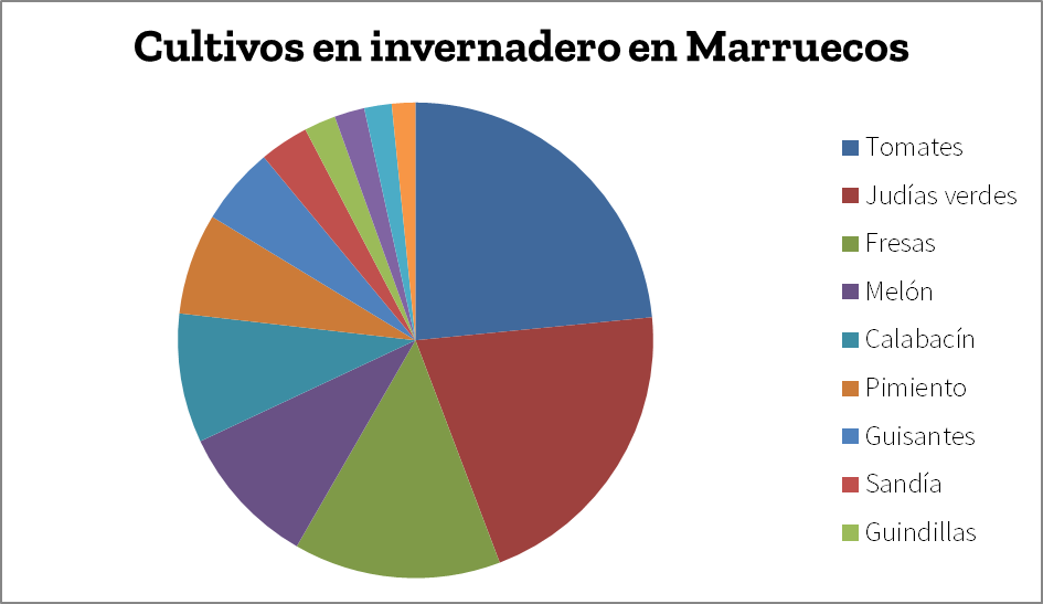 Cultivo en invernadero en Marruecos