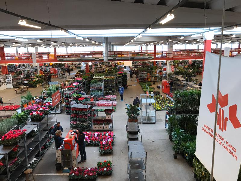 Mercado de la flor en Cataluña