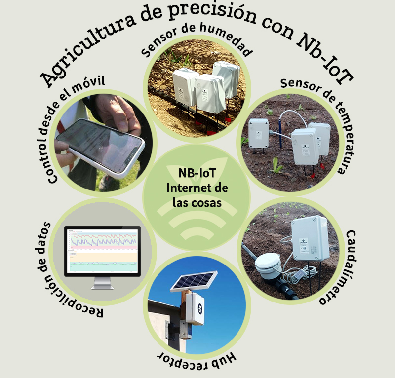 Plantae-sensores/sondas de humedad