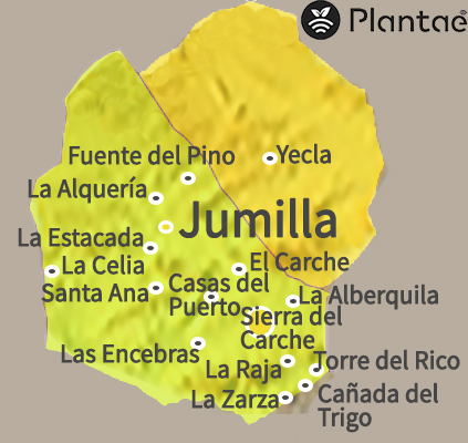 Comarcas de cultivo de peras de Jumilla en Murcia