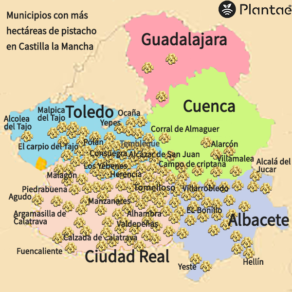 Mapa de pistachos de Castilla la Mancha-Sensores/sonda agrícolas para pistacho