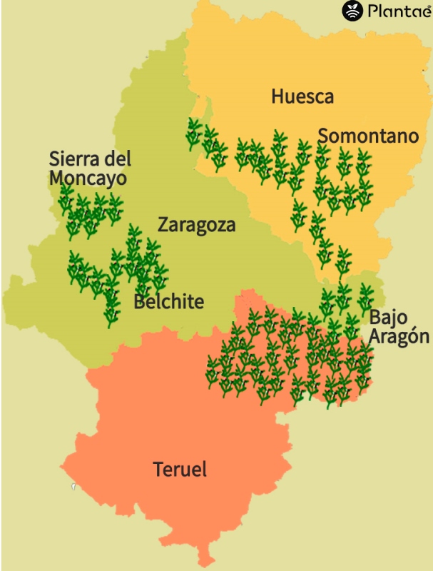 mapa de olivar en Aragón