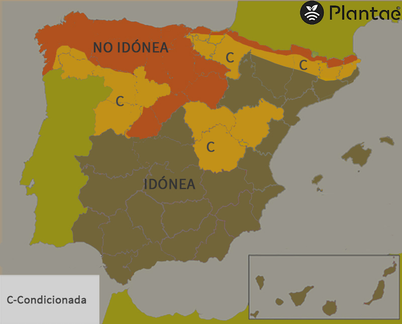 Mapa de pistacho en España según días de calor