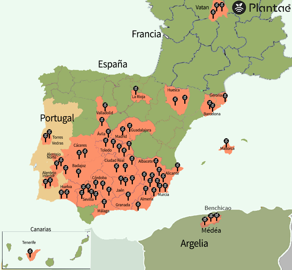 Riego con sensores en toda la península, Francia y Argelia