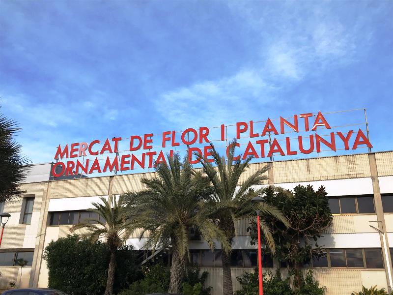 Edificio del mercado central de la flor