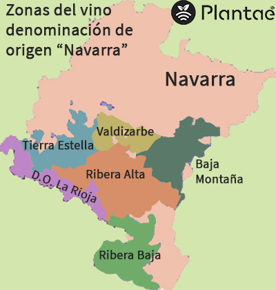 Vinos denominación de origen de Navarra