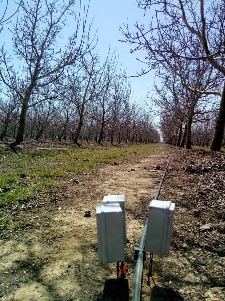 Sensor/sonda en nogal