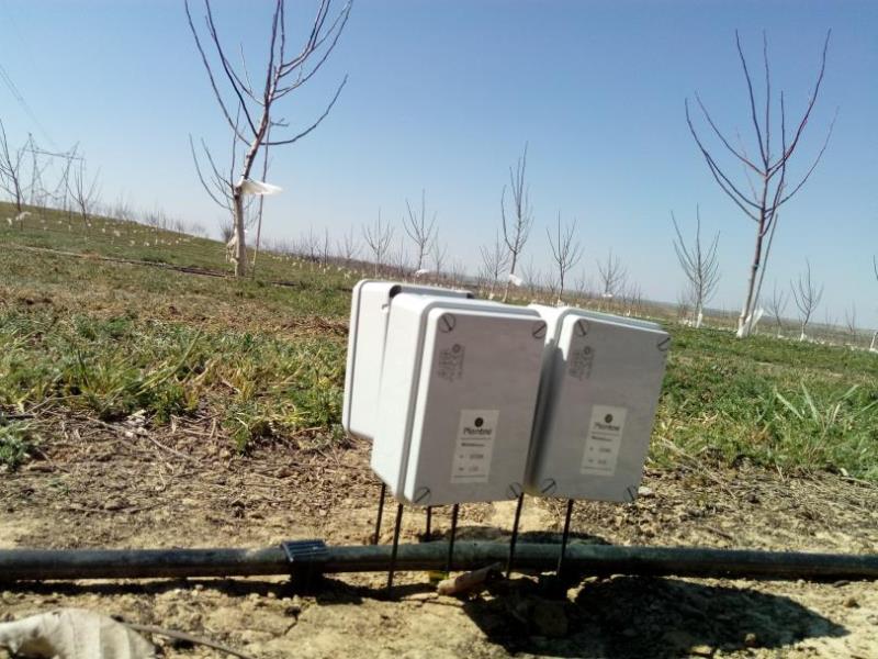 Sensores a tres profundidades en nogal