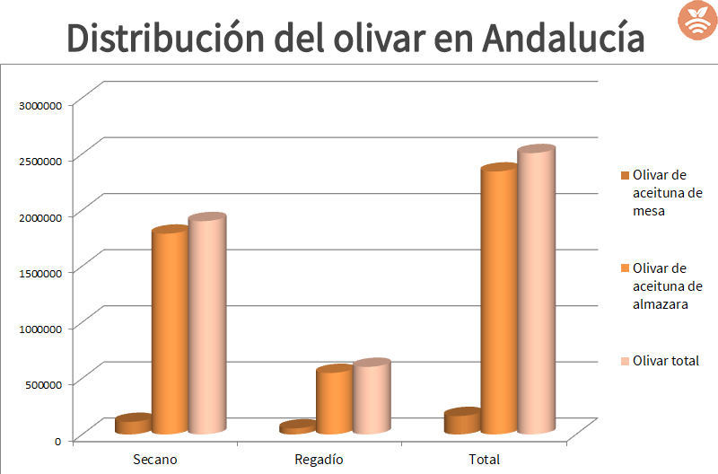 Distribución del olivar en Andalucía