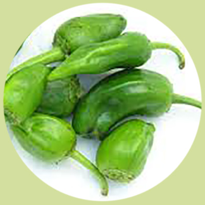 Pimiento de padrón