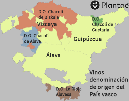 Vinos País Vasco