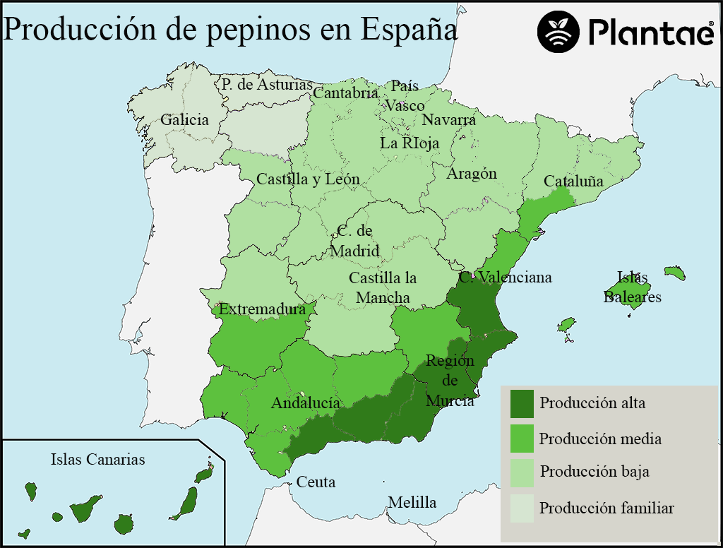 Mapa de España de la producción de pepinos