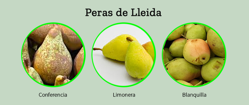 Variedades de las peras de Lleida