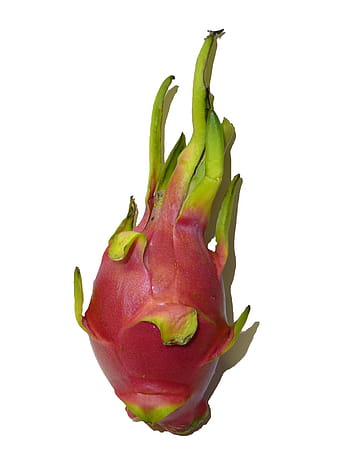 Fruto de la pitaya