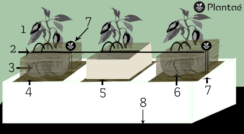 Partes del soporte hidropónico