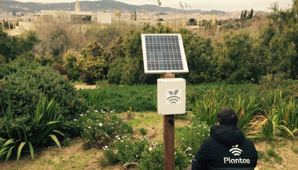 Jardin Botánico en Montjuic-Jardinería de precisión