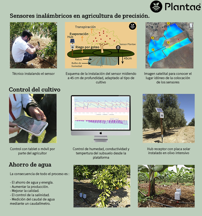 Agroalimentaria de Toledo