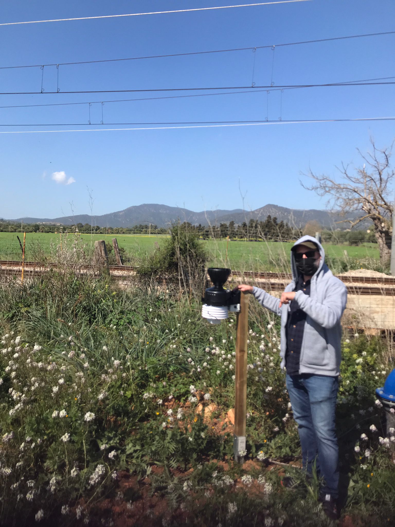 Estación meteorologica en olivo ecológico