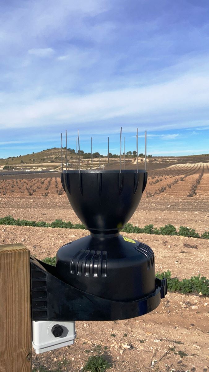 Pluviómetro en viña