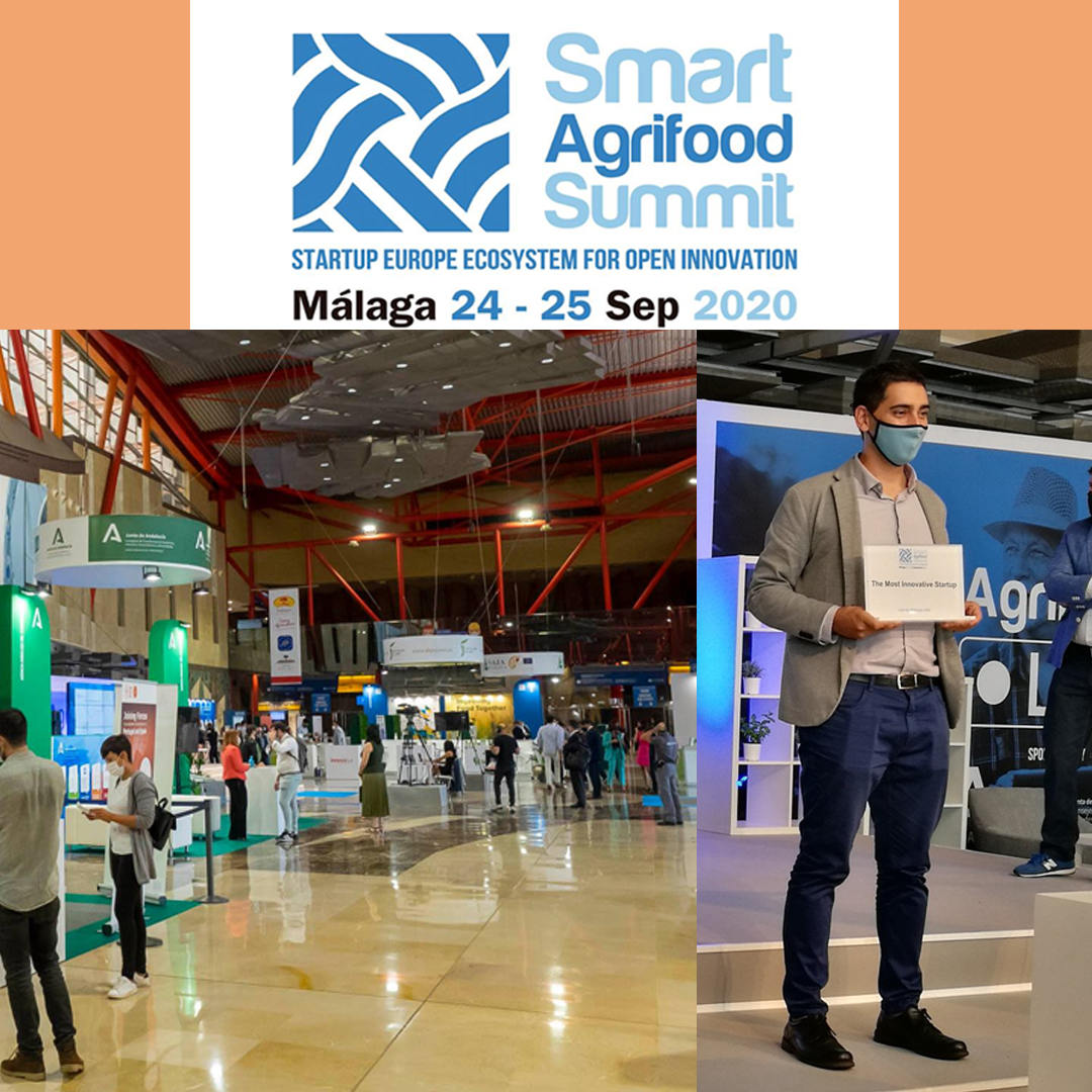 La imagen tiene un atributo ALT vacío; su nombre de archivo es premio-3-1024x1024.png