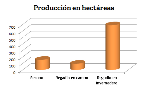 El mercado de la flor