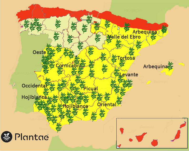 Sensores/sondas en olivos en España
