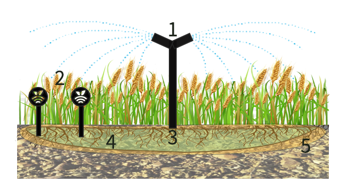 Sondas en herbáceos