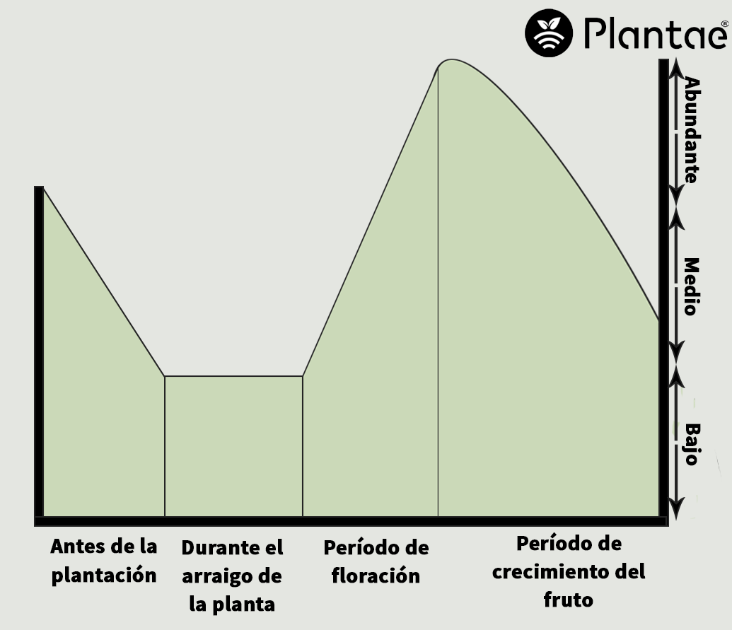 Riego controlado de la sandía