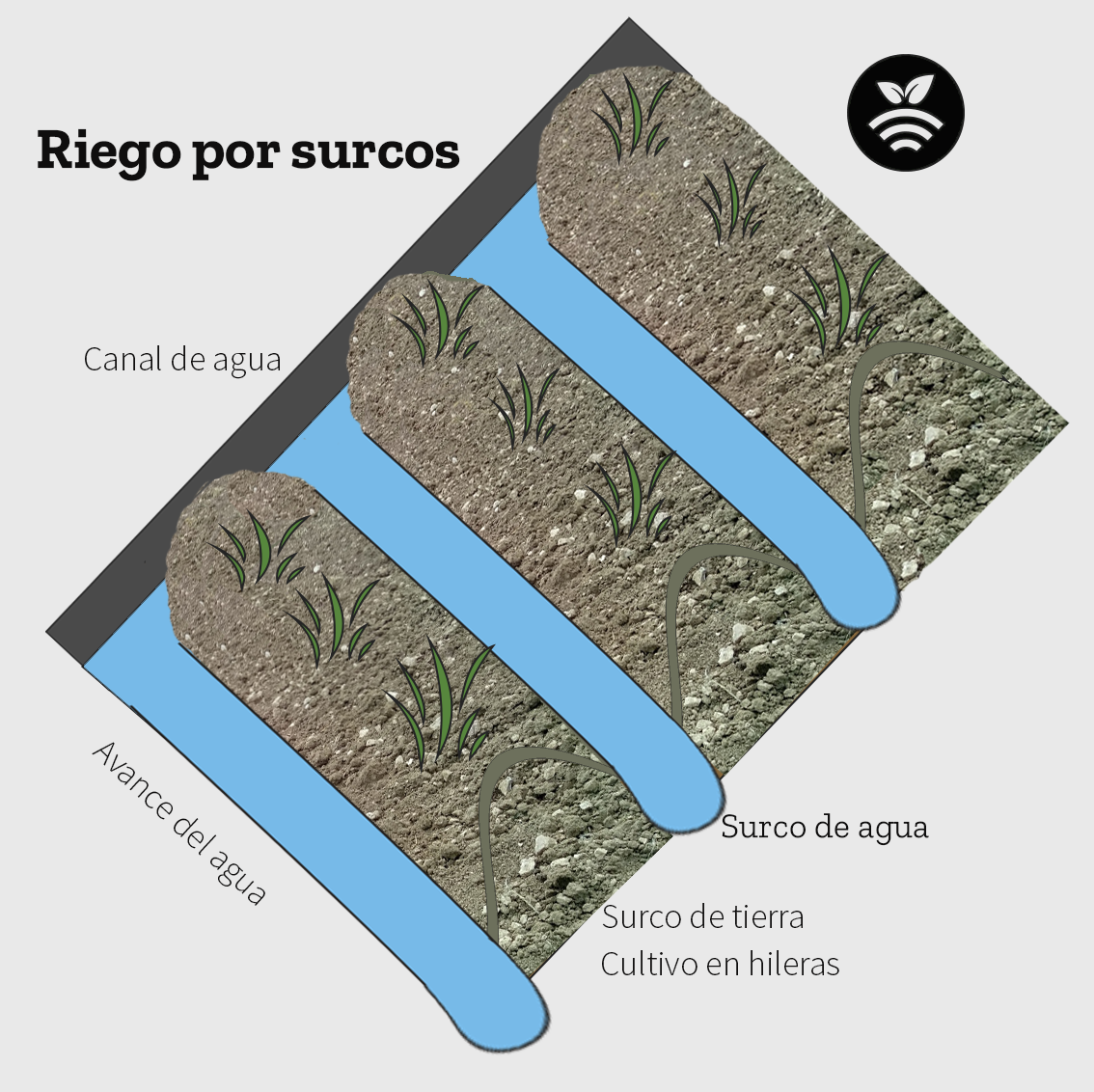 Riego por surcos