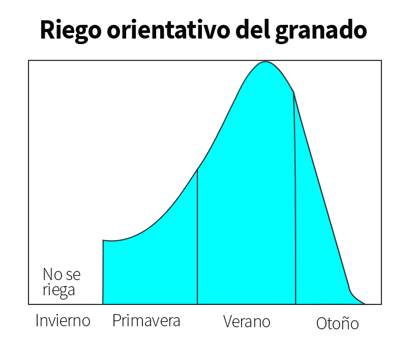 Riego controlado con sensores/sonda del granado