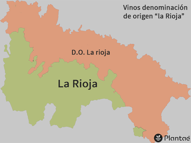 Vinos de la Rioja