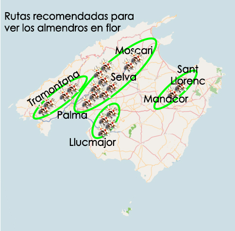 Ruta de la almendra en las Islas Baleares