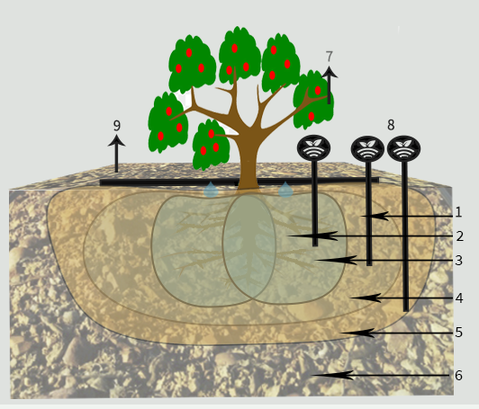 Riego controlado en peral