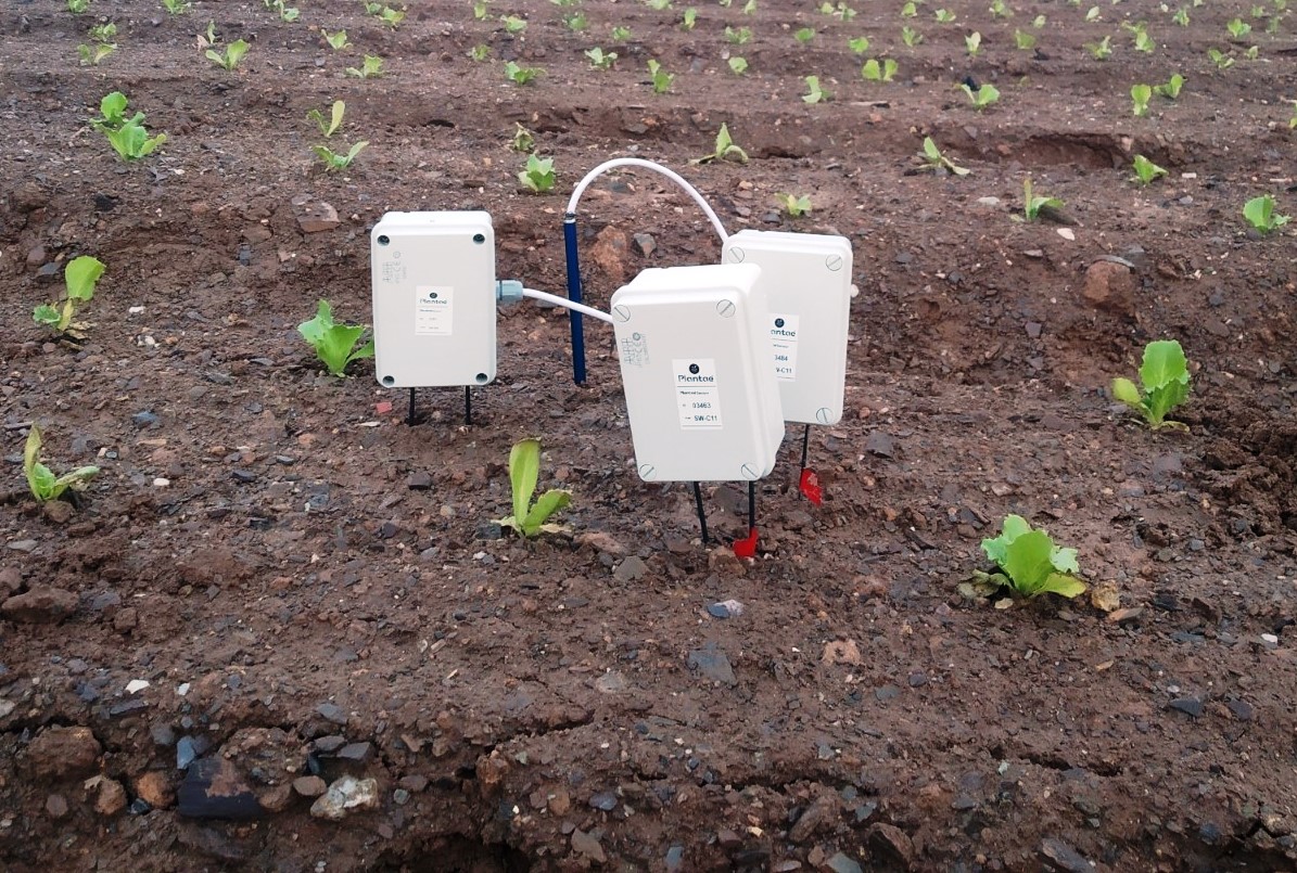 Sensor de temperatura