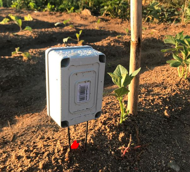 Sensor en huerto con cultivo por surcos