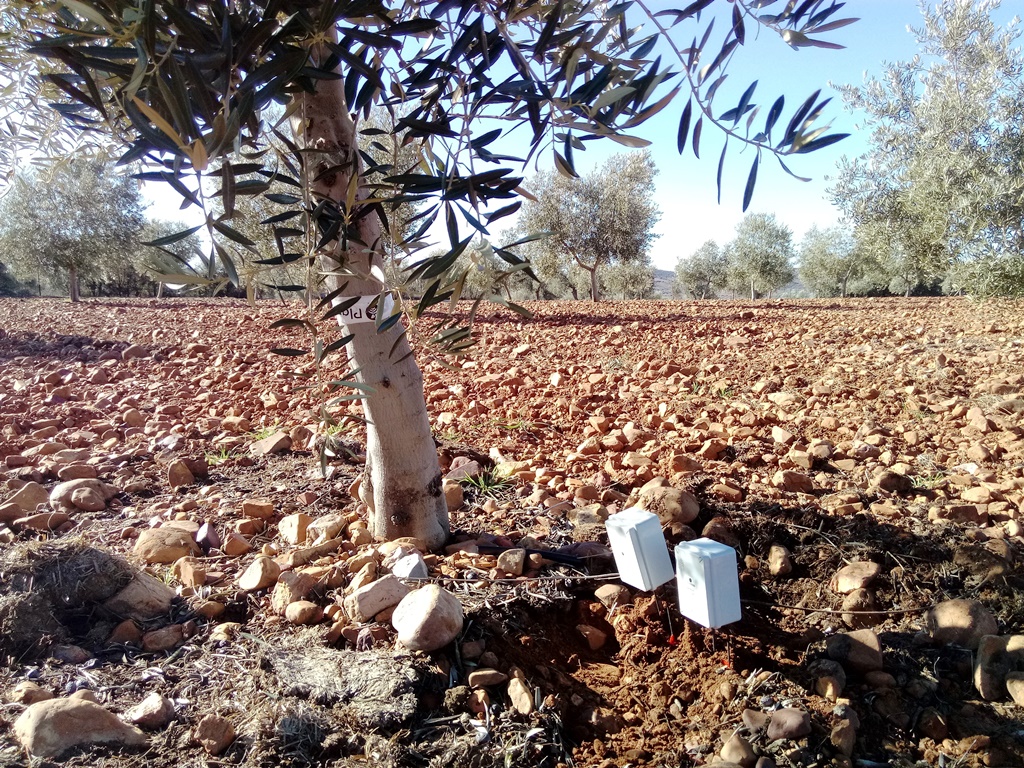 Sensores a dos profundidades