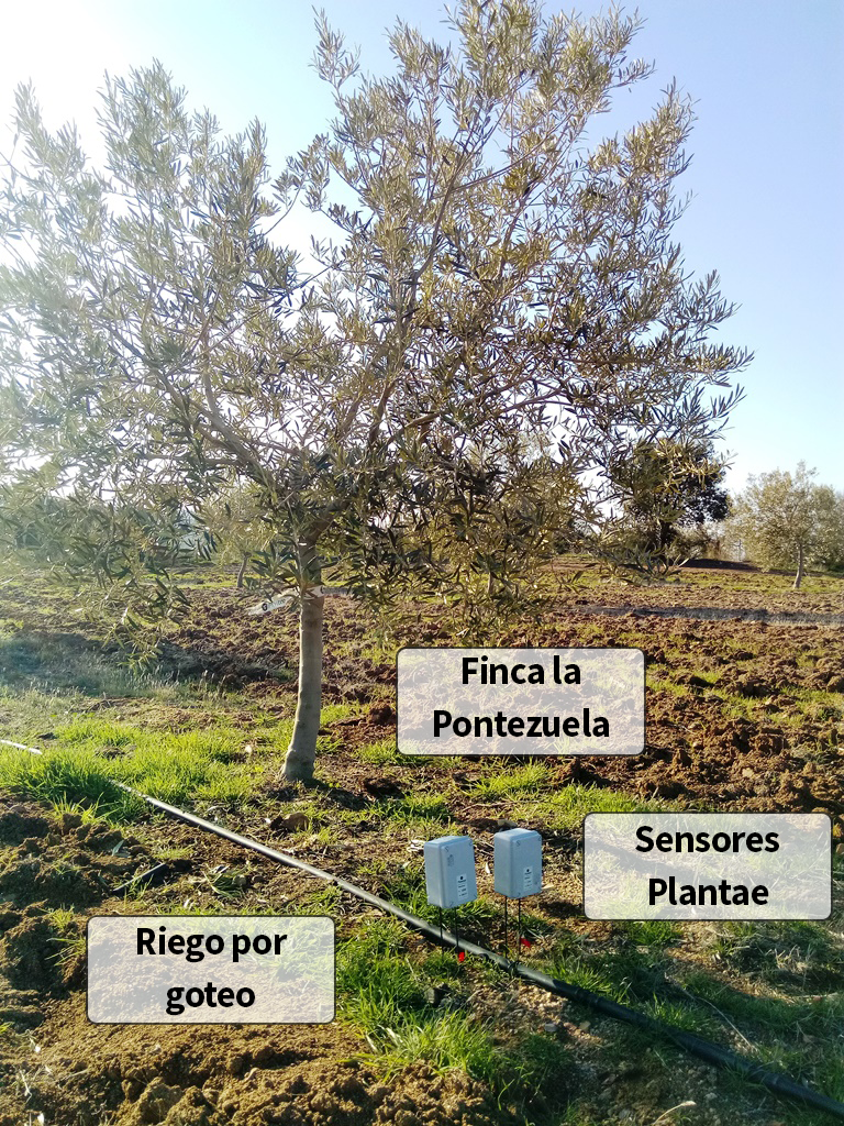 Riego por goteo controlado